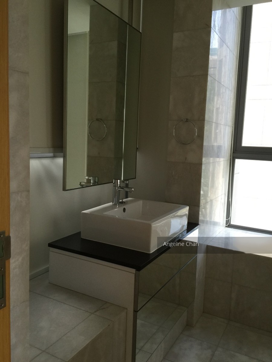 Angullia Park Residences @ Orchard (D10), Apartment #110948592